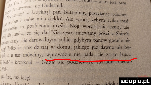 Obrazek