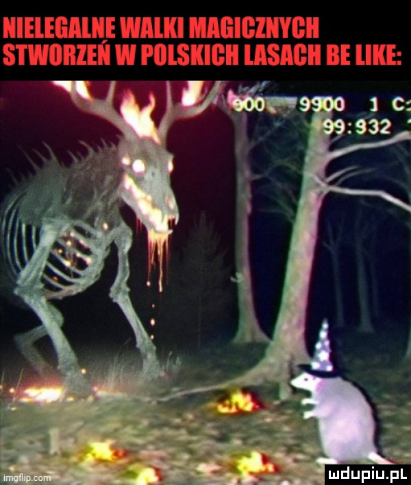 Obrazek