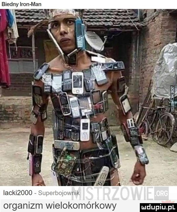 biedny iron man organizm wielokomórkowy