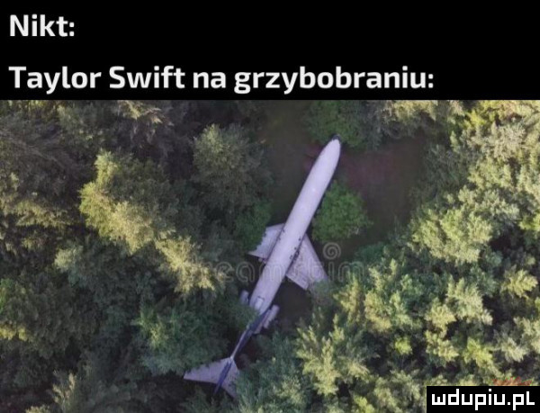 nikt taylor swift na grzybobraniu