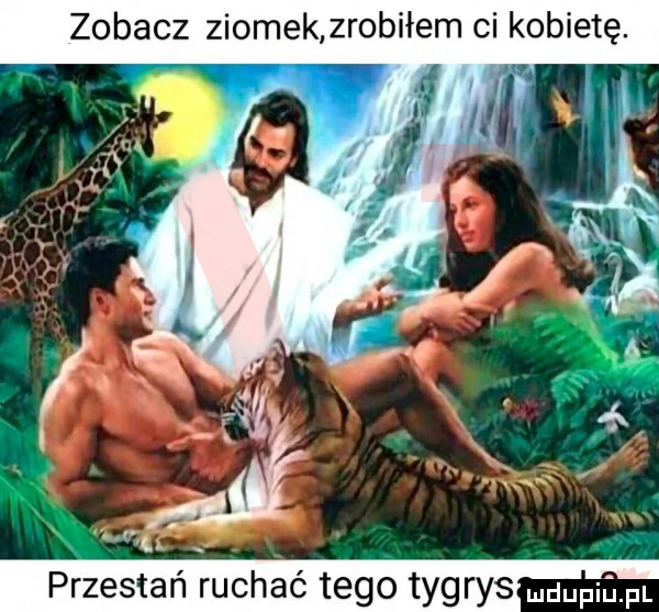 przestań ruchać tego tygrys mdupillpl