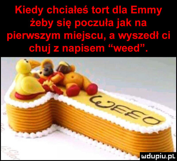 kiedy chciałeś tort dla emmy żeby się poczuła jak na pierwszym miejscu a wyszedł ci chuj z napisem weed