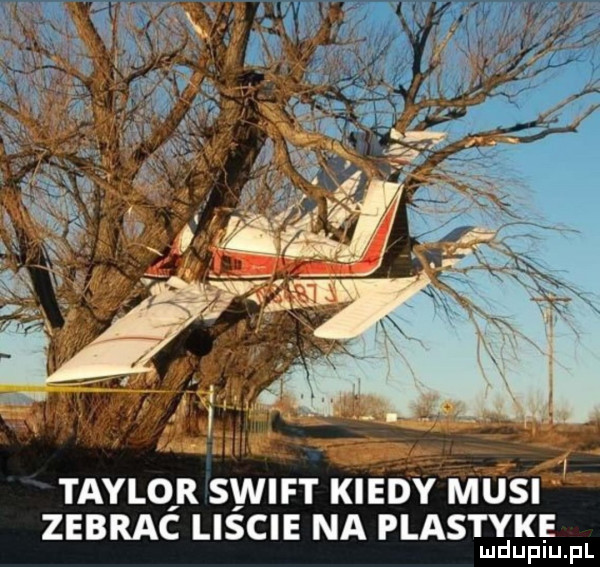 taylor swift kiedy musi zebrać liście na plastyke lud uplu. pl