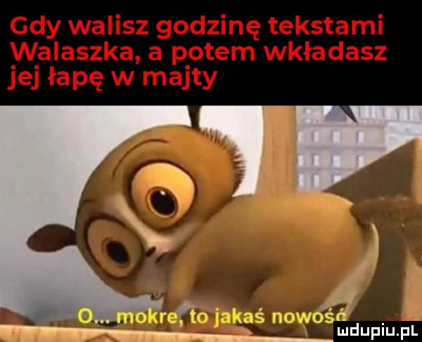 nowość mduplu pl