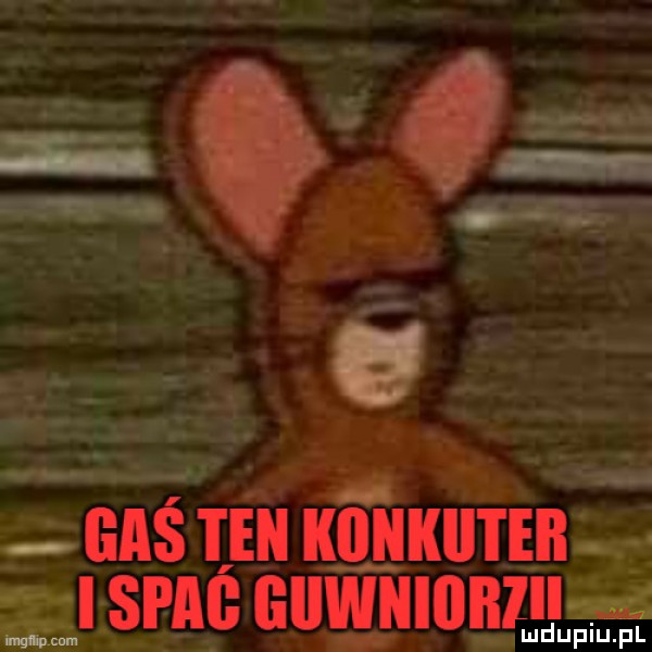 w. gas en klnkii i ebi i spas ﬂllwnlﬂblllu ludupiu. pl