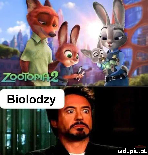 biolodzy l i i