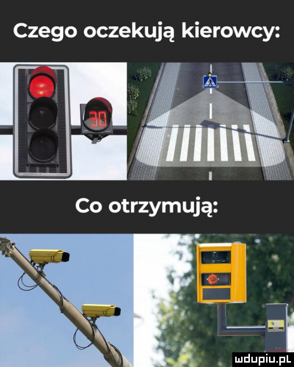 czego oczekują kierowcy
