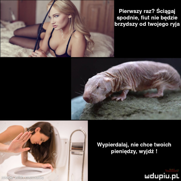 pierwszy raz ściąga spodnie figi nie będzie brzydszy od lwoiego ryja wypierdalaj nie chce twoich pieniędzy wyjdź