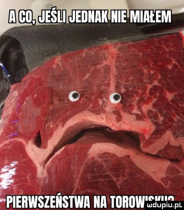 l go leśliijeiiiiakiiiiexmiałem   pieiiwszeiistwi ica tubów słeepl