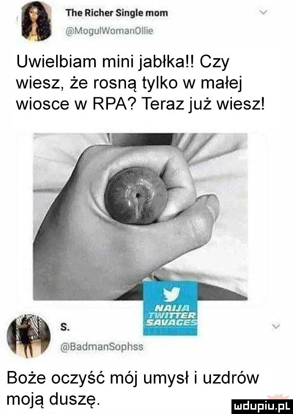 tee rlchef single mam mugulwomandliie uwielbiam mini jabłka czy wiesz że rosną tylko w małej wiosce w rpa teraz już wiesz ó badmansophss boże oczyść mój umysł i uzdrów moją duszę