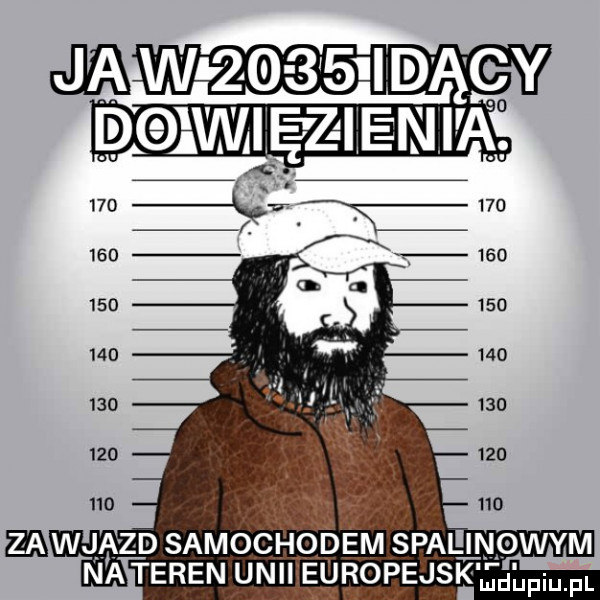 w        i d-cy o eawjazd samochodem spailinowym na teren uniiieuropejsk mam fl