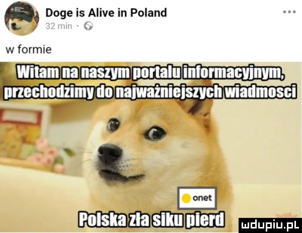 doje is alice in poland l w formie polskarzlaeiill lolem