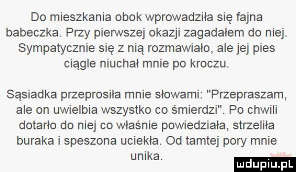 do mieszkania obok wprowadziła się fajna babeczka. przy pierwszej okazji zagadałem do niej. sympatycznie się z nia rozmawiało ale jej pies ciągle niuchai mnie po kroczu. sąsiadka przeprosiła mnie słowami przepraszam ale on uwielbia wszystko co śmierdzi. po chwili dotarło do niej co właśnie powiedziała strzeliła buraka i speszona uciekła. od tamtej pory mnie