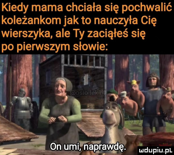 kiedy mama chciała się pochwalić koleżankom jak to nauczyła cię wierszyka ale ty zaciąłeś się po pierwszym słowie