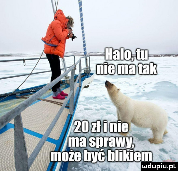 Obrazek