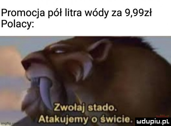 promocja pół litra wódy za      ł polacy. zwołal stado atakulomy o swncuo dufqul