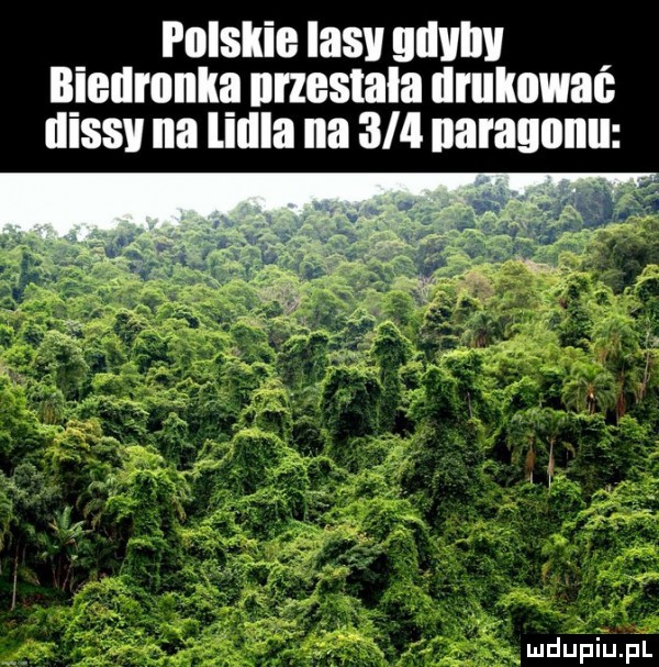 i ujskie iasv mlvl nieumnka nrzestala drulmwau uissv na lillla na     naraunnu
