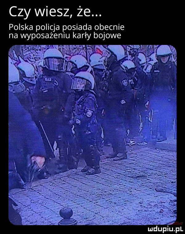 czy wiesz że. polska policja posiada obecnie na wyposażeniu karły bojowe