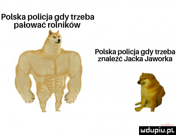 polska policja gdy trzeba pałować rolników polska policja gdy trzeba znaleźć jacka jaworka ludu iu. l