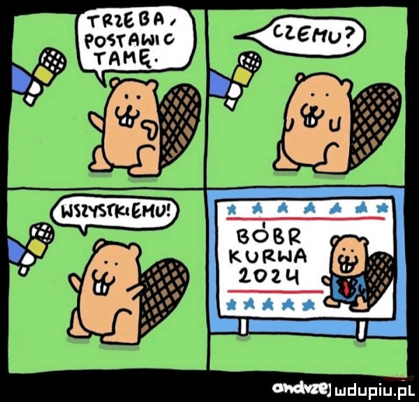 triera postawnc tahe wmdupiu il