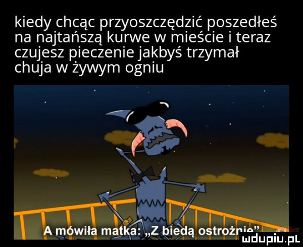 kiedy chcąc przyoszczędzić poszedłeś na najtańszą kurwe w mieście i teraz czujesz pieczenie jakbyś trzymał chuja w zywym ogniu f hm t m wił matka a zhiędą  ir duciu. pl