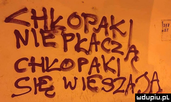 Obrazek
