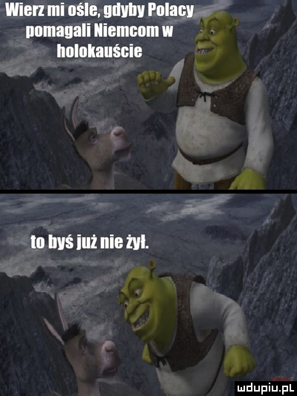 wierz mi mile. udvllv polacy nomagali niemcom w holokauście lo ihs iuż nie m