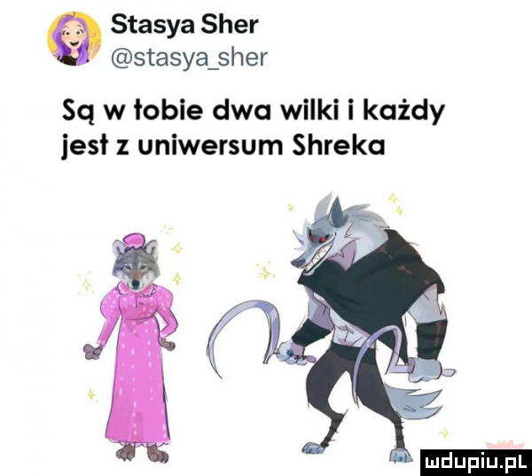 stasia sfer stasia sfer sq w tobie dwcl wilki i każdy iesł uniwersum shreka ludu iu. l