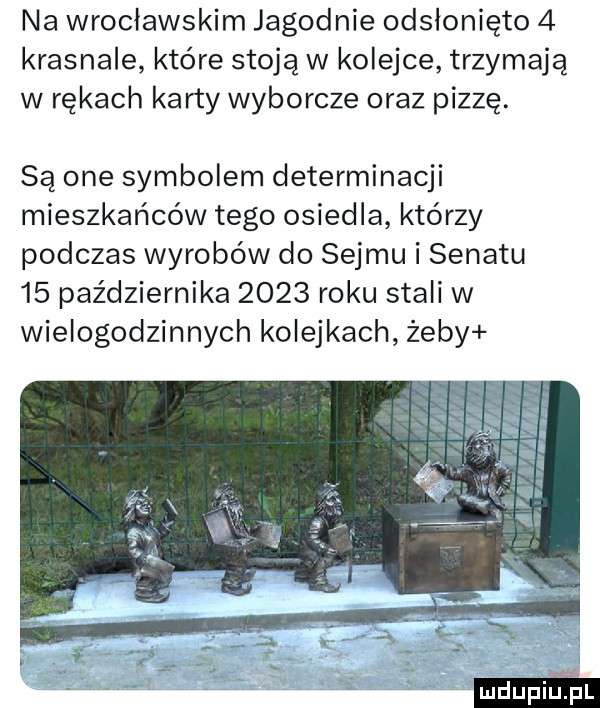 na wrocławskim jagodnie odsłonięto   krasnale które stoją w kolejce trzymają w rękach karty wyborcze oraz pizzę. są one symbolem determinacji mieszkańców tego osiedla którzy podczas wyrobów do sejmu i senatu    października      roku stali w wielogodzinnych kolejkach żeby