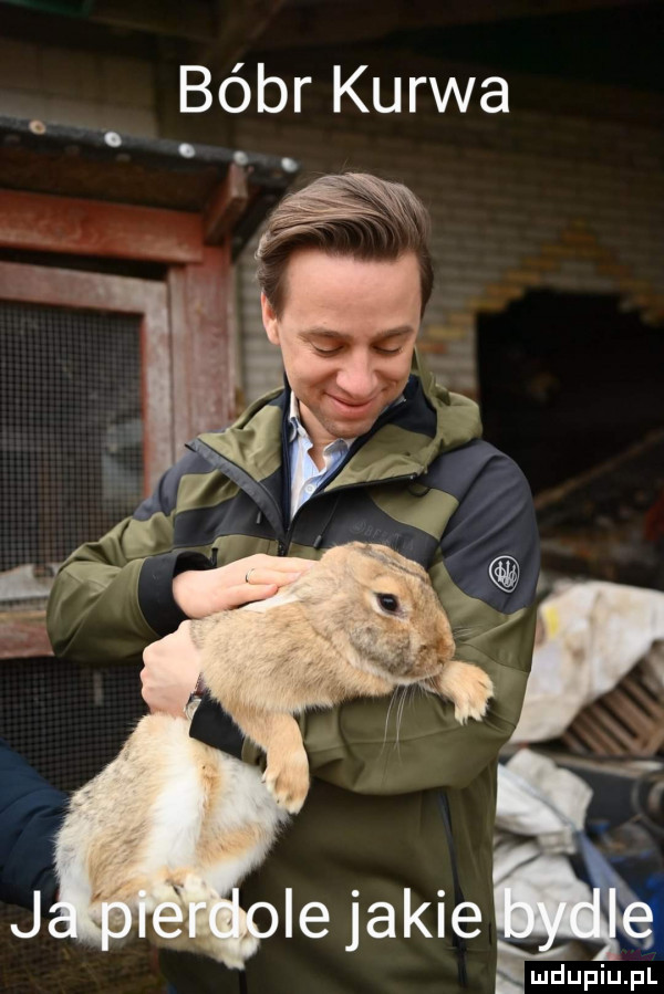 bóbr kurwa