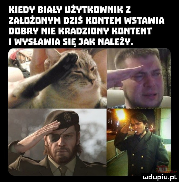 hiedv biały uż h igiinniig z zaldżiinvm dziś kantem stawia ddbiw nie kradzidnv hhntent i wysłania się jak należv