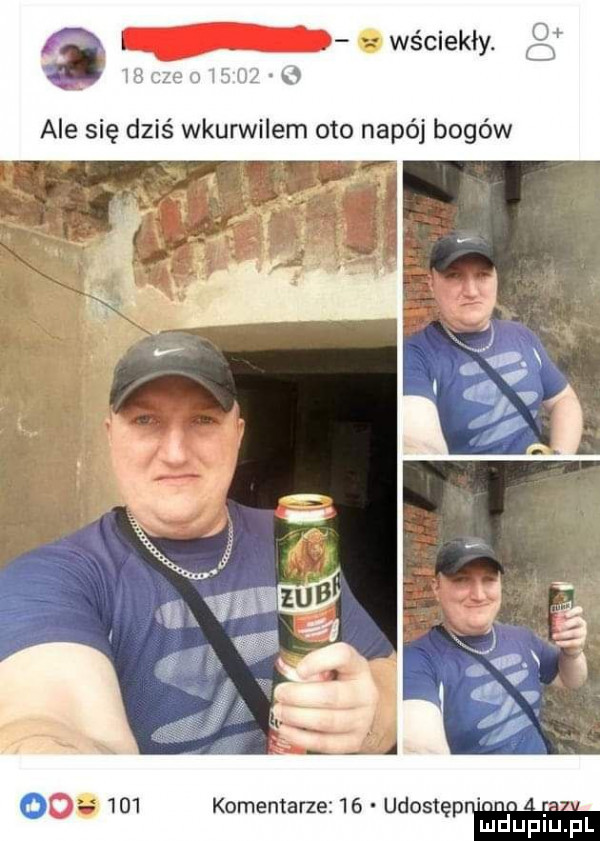 komentarze    udostęp. abakankami. abakankami mduplu pl