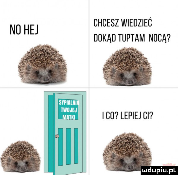 n  hej chcesz wiedziec dokąd tuptam nuda idu lepiej ci