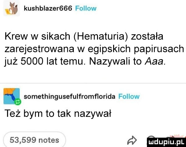 kushblazer    fellow krew w sikach hematuria została zarejestrowana w egipskich papirusach już      lat temu. nazywali to aaa. abakankami somethingusefulfromﬂorida fellow też bym to tak nazywał        notes a ma