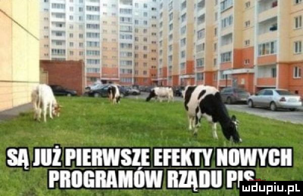 sa m  rlinwszi mm nomen pnnannmw nmnu w
