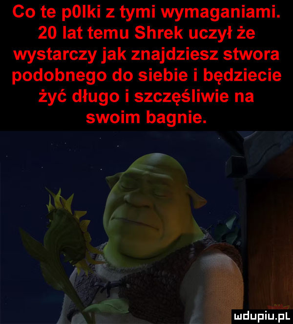 co te pliki z tymi wymaganiami.    lat temu shrek uczył że wystarczy jak znajdziesz stwora podobnego do siebie i będziecie żyć długo i szczęśliwie na swoim bagnie. lal mdupiuii