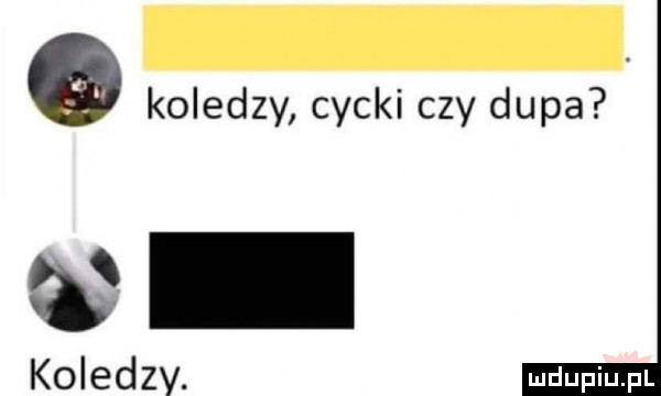 q koledzy cycki czy dupa koledzy