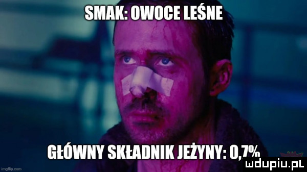 liłleiiy sllﬂllllllll leżviiy       ludupiu. pl