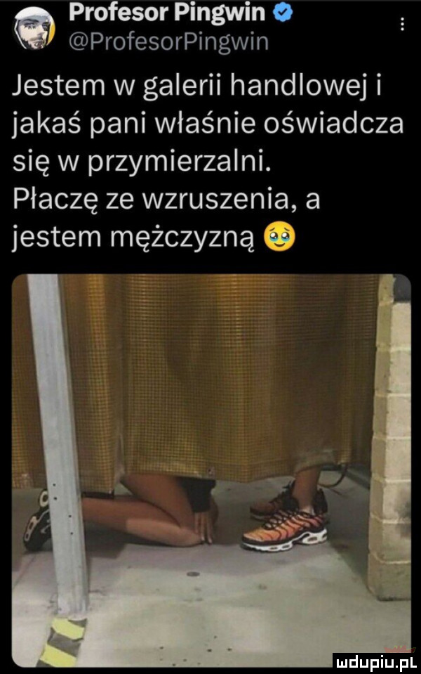 profesor pingwin o profesorpingwin jestem w galerii handlowej i jakaś pani właśnie oświadcza się w przymierzalni. płaczę ze wzruszenia a jestem mężczyzną