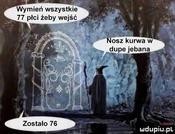 wymień wszystkie    płci żeby wejść a zostało    n