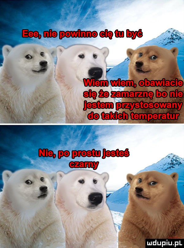 mﬂupiﬁpl