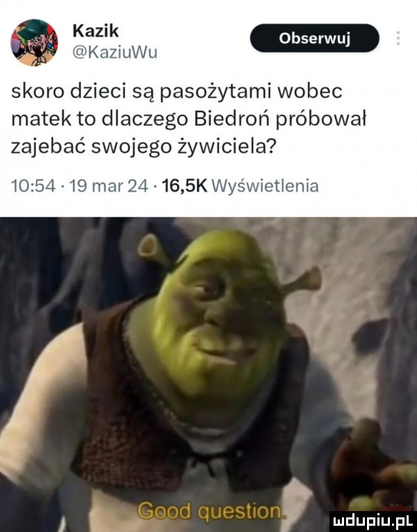 mam w skoro dzieci są pasożytami wobec matek to dlaczego biedroń próbował zajebać swojego żywiciela      a  mar       kwyswietienia i f