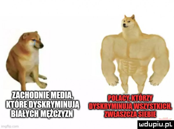 upiu pl