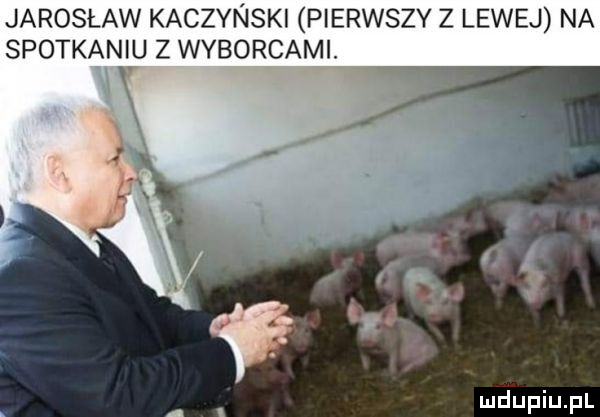 jarosław kaczynski pierwszy z lewej na spotkanivu z wyborcami
