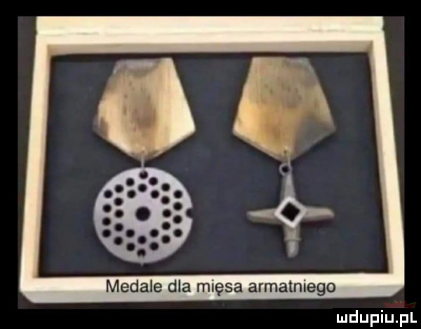 medale dla mięsa armaniego
