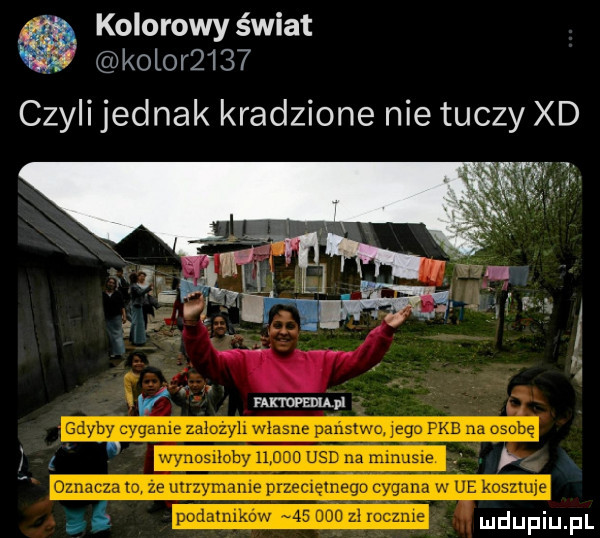 kolorowy świat kolor     czyli jednak kradzione nie tuczy xd ś