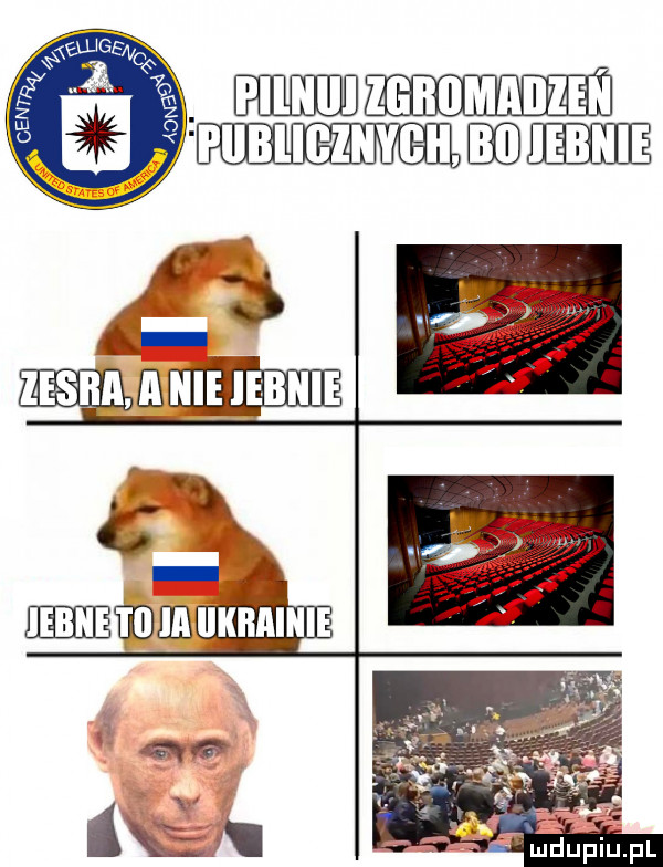 mdupiu. pl