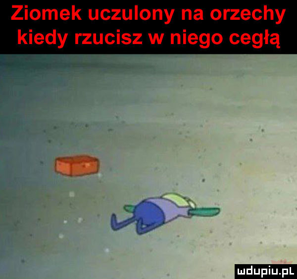 upiu pl