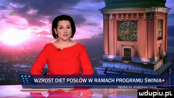 iii. abakankami wzrost diet posłóww ramach programu świnia mm mwmw me pl