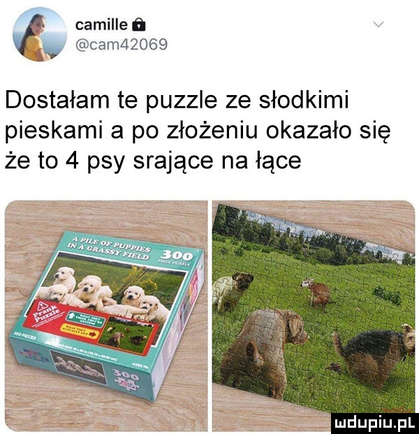 camilleﬁ a. cam      dostałam te puzzle ze słodkimi pieskami a po złożeniu okazało się że to   psy srające na łące